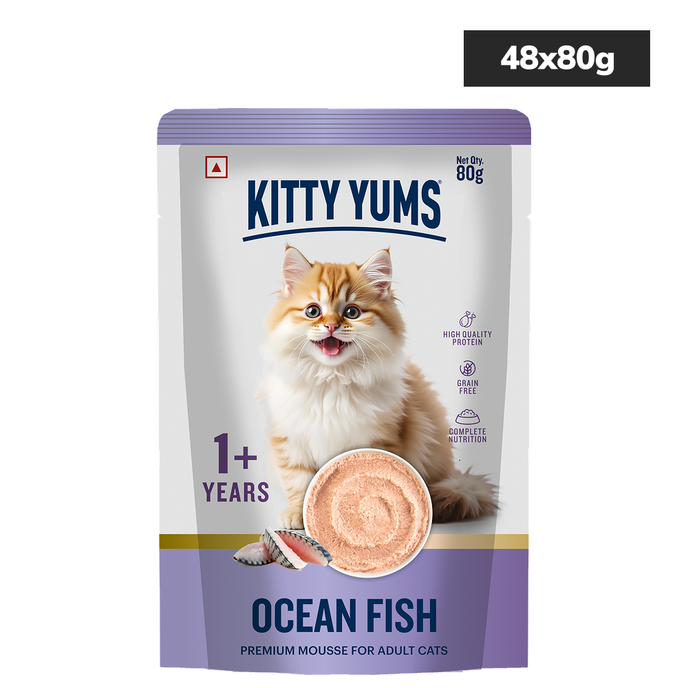 Kitty Yum Ocean Fish Mousse Adult Cat Wet Food Cats-Wet Food Kitty Yums 48x80g