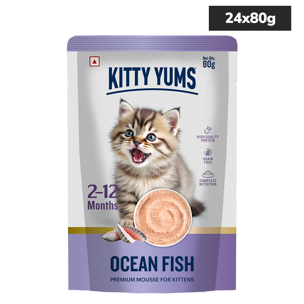 Kitty Yum Ocean Fish Mousse Kitten Cat Wet Food Cats-Wet Food Kitty Yums 24x80g