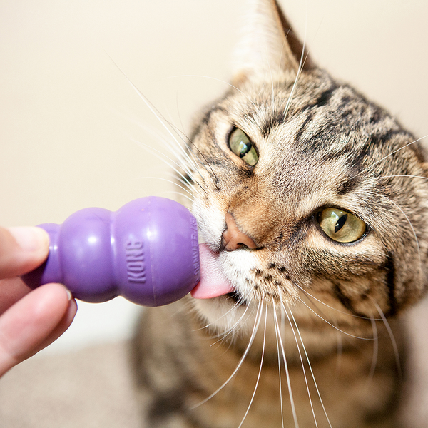 Kong Kitty Kong Toy for Cats (Purple)