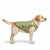 Woofiezz Warm & Comfortable Winter Jackets for Dogs and Cats (Orange/Olive Green) Both-Clothing & Accessories Woofiezz Dropship