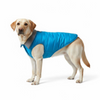 Woofiezz Warm & Comfortable Winter Jackets for Dogs and Cats (Blue/Grey) Both-Clothing & Accessories Woofiezz Dropship XS