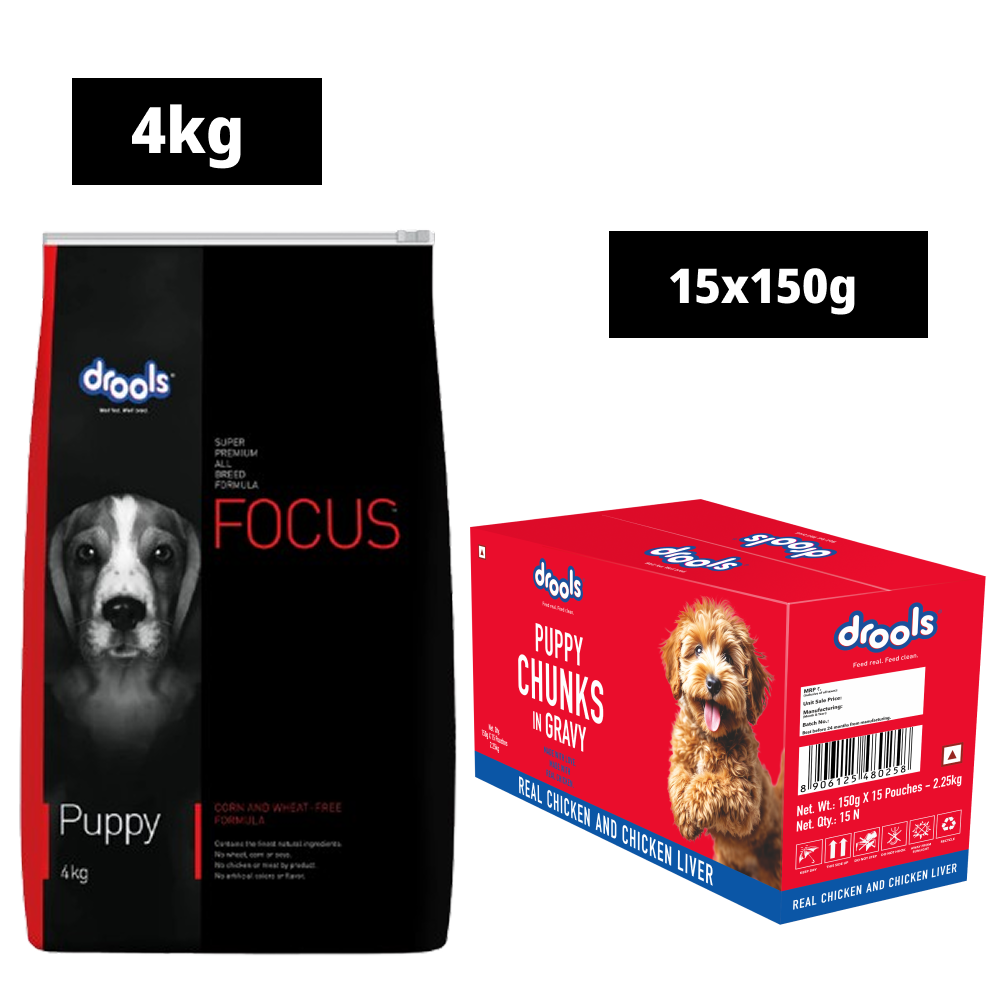 Drools Focus Super Premium Dry Food and Chicken & Chicken Liver Chunks in Gravy Puppy Dog Wet Food Combo Dogs- Dry Food Drools Focus 4kg+15x150g