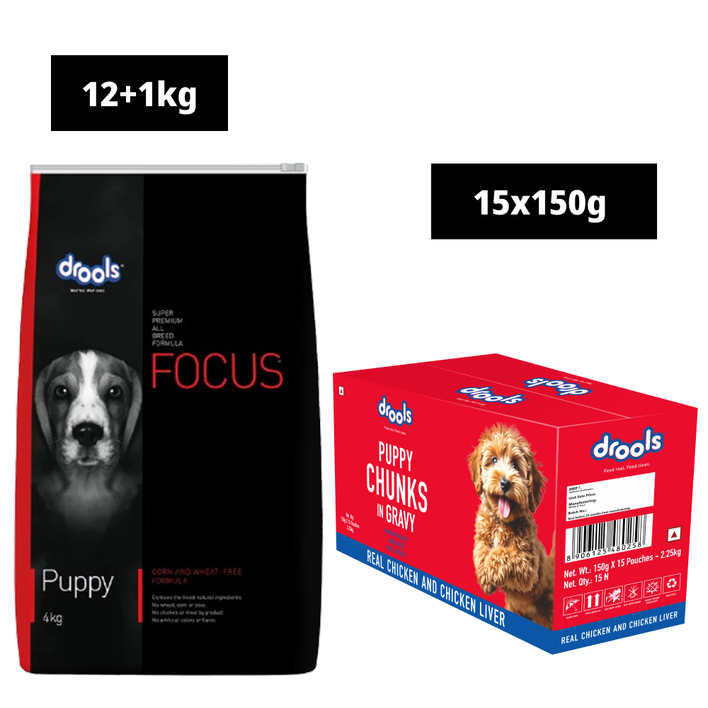 Drools Focus Super Premium Dry Food and Chicken & Chicken Liver Chunks in Gravy Puppy Dog Wet Food Combo Dogs- Dry Food Drools Focus 12kg+1kg(Free)+15x150g