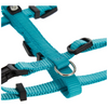 M Pets Catogo Harness & Leash for Cats (Blue) Cats-Collar, Leashes, harnesses M Pets
