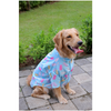 15buttons Gummy Bears Shirt for Dogs Dogs-Clothing & Accessories 15buttons Dropship