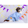 15buttons Mirrorwork Kurta for Dogs (Powder Blue) Dogs-Clothing & Accessories 15buttons Dropship