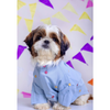 15buttons Mirrorwork Kurta for Dogs (Powder Blue) Dogs-Clothing & Accessories 15buttons Dropship XS
