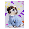 15buttons Mirrorwork Kurta for Dogs (Powder Blue) Dogs-Clothing & Accessories 15buttons Dropship