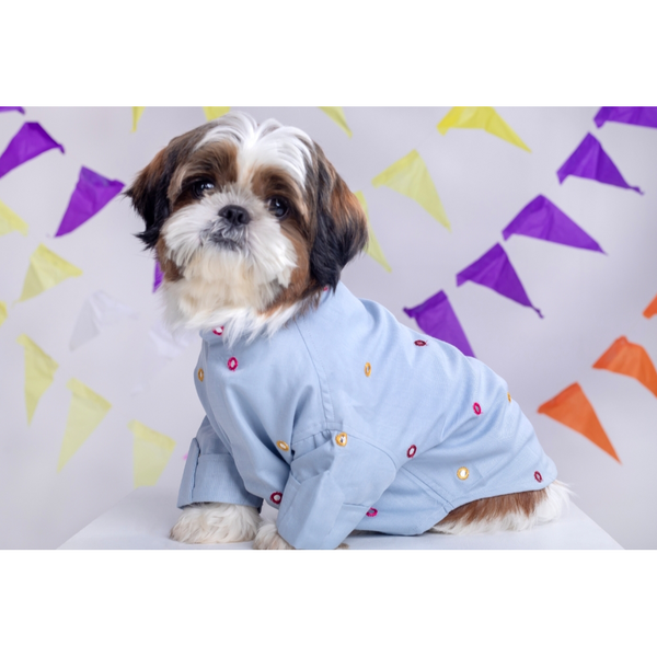 15buttons Mirrorwork Kurta for Dogs (Powder Blue)
