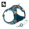 Truelove Ultra Light Harness & Leash Set for Small Dogs (Blue Coral) Both-Collar, Leashes, harnesses True Love XXS