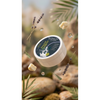 Doctor Doglittle Probiotic Shea Butter Paw & Nose Balm for Dogs Dogs-Grooming Supplies Doctor Doglittle