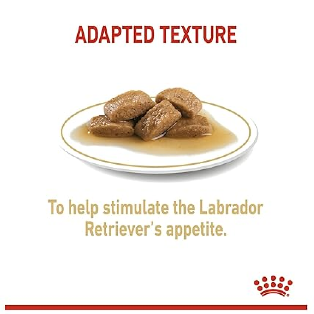 Royal Canin Labrador Retriever Adult Dog Wet Food Dogs-Wet Food Royal Canin