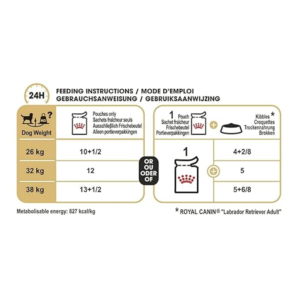 Royal Canin Labrador Retriever Adult Dog Wet Food Dogs-Wet Food Royal Canin
