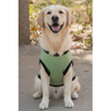 Pet Set Go Eat Sleep Poop Repeat T-shirt for Dogs (Cyan) Dogs-Clothing & Accessories Pet Set Go Dropship