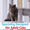 Furrlovers Multilevel Cat Climbing Tower with Top Bed and Multiple Seats (Grey) Cats-Toys Furrlovers Dropship