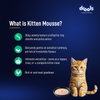 Drools Tuna Mousse Kitten Cat Wet Food Cats-Wet Food Drools