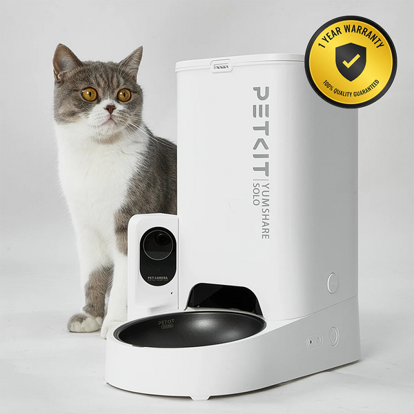 Whiskas Ocean Fish Kitten/Mother and Baby Dry Food & Petkit YumShare Solo Automatic Food Dispenser Combo for Kitten