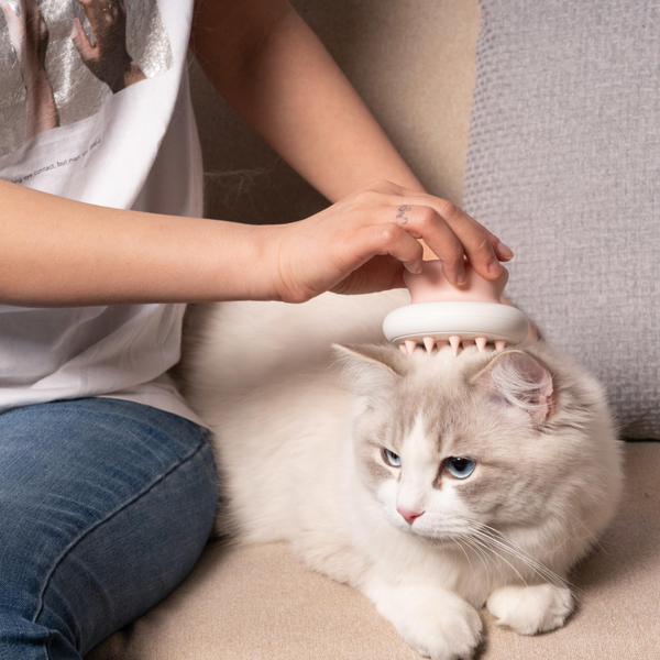 M Pets Tender Massage Comb for Dogs and Cats (White)