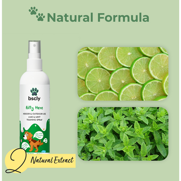 Bscly Fresh Mint Oral Spray for Dogs and Cats