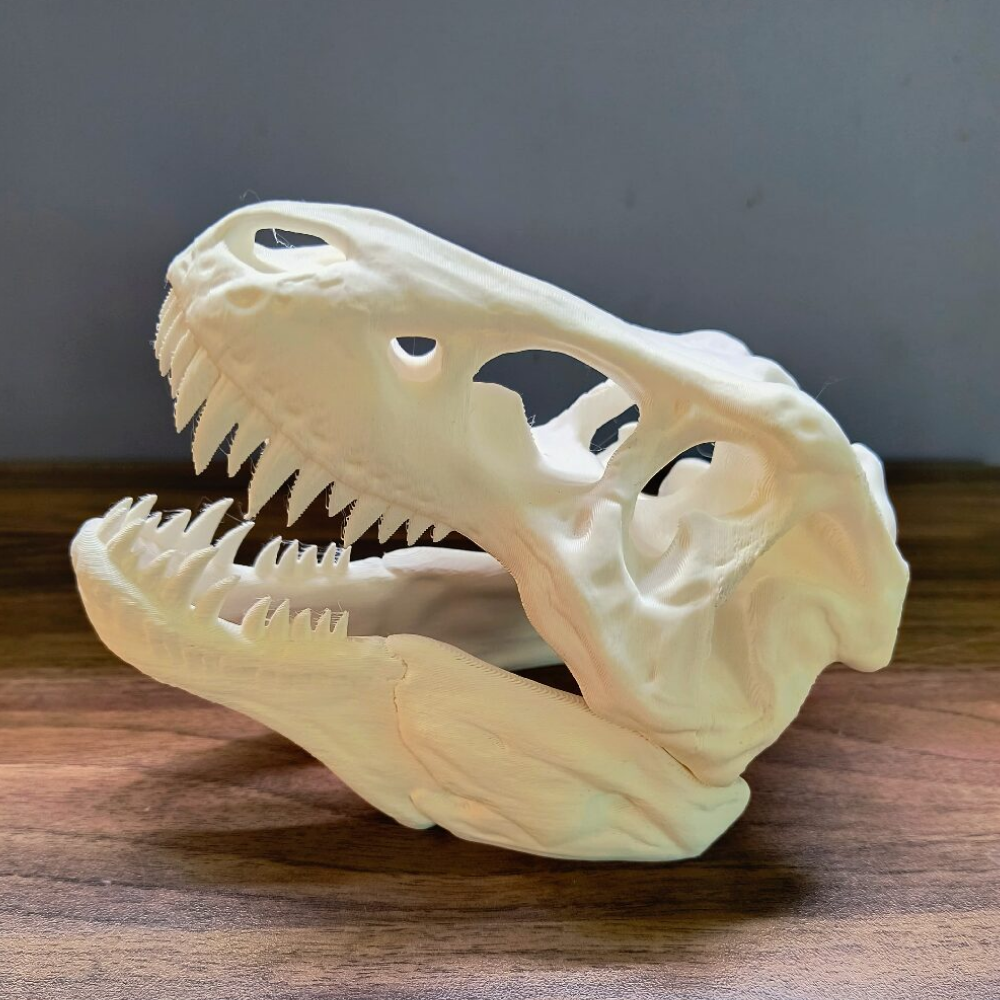 Splashy Fin Trex Skull Miniature for Aquarium Fish Splashy Fin 17cm