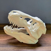 Splashy Fin Trex Skull Miniature for Aquarium Fish Splashy Fin 17cm