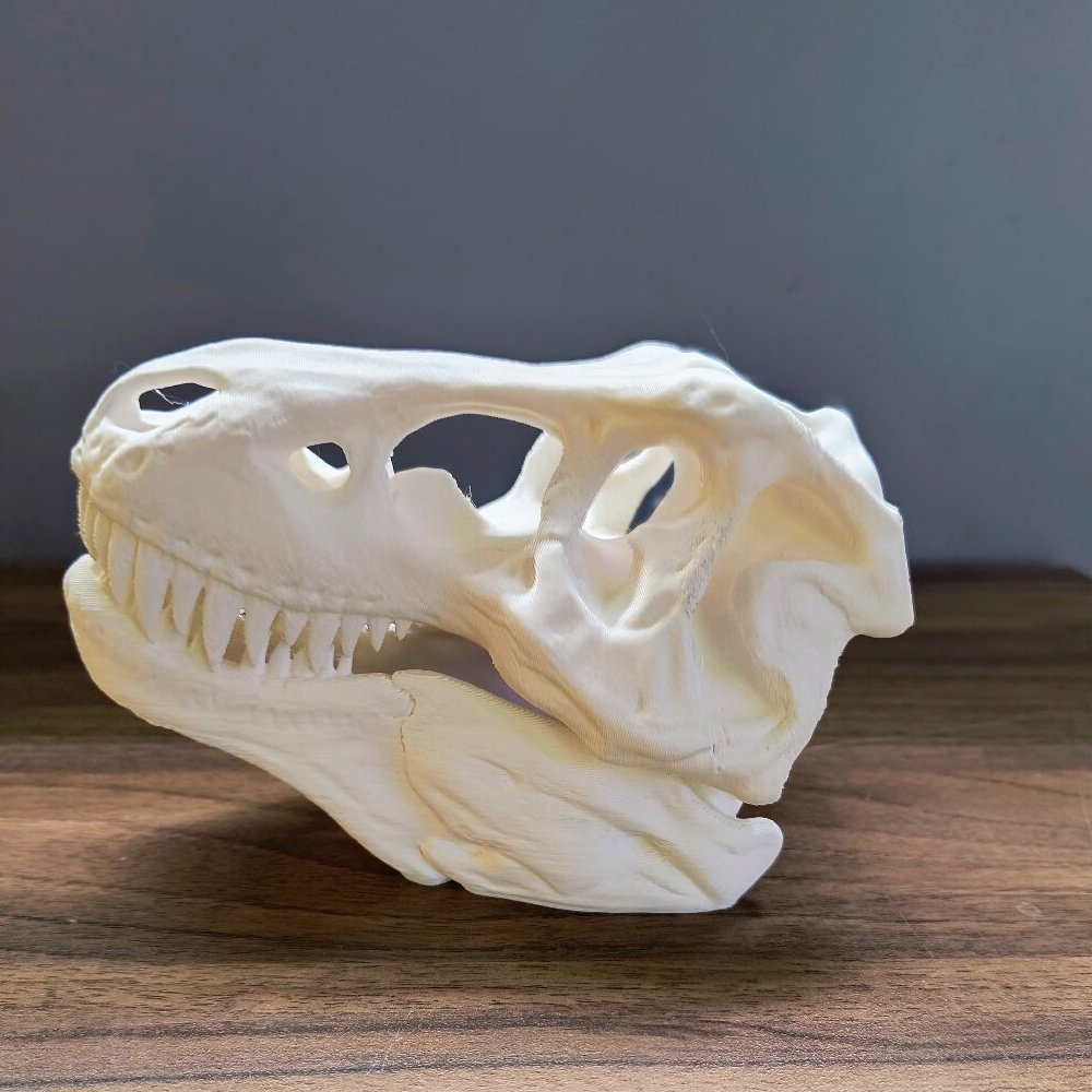 Splashy Fin Trex Skull Miniature for Aquarium Fish Splashy Fin