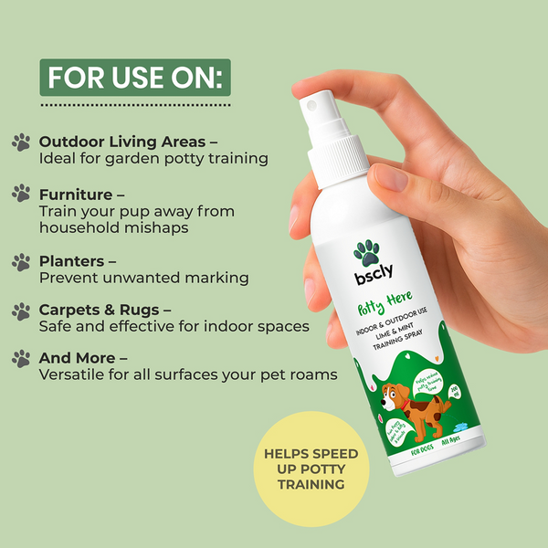Bscly Fresh Mint Oral Spray for Dogs and Cats
