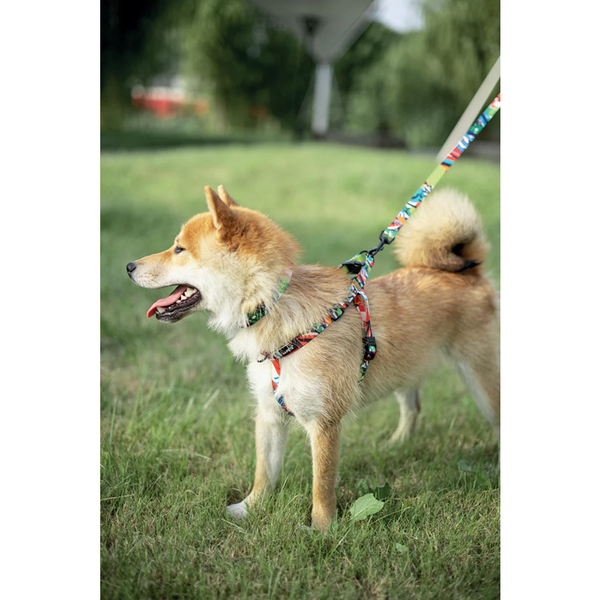 M Pets Urban Style Freestyle Harness for Dogs