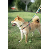 M Pets Urban Style Freestyle Harness for Dogs Dogs-Collar, Leashes, harnesses M Pets