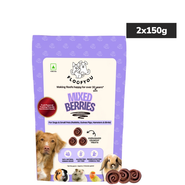 Floofyou Mixed Berries Vegan Oven Baked Cookie Dog Treats