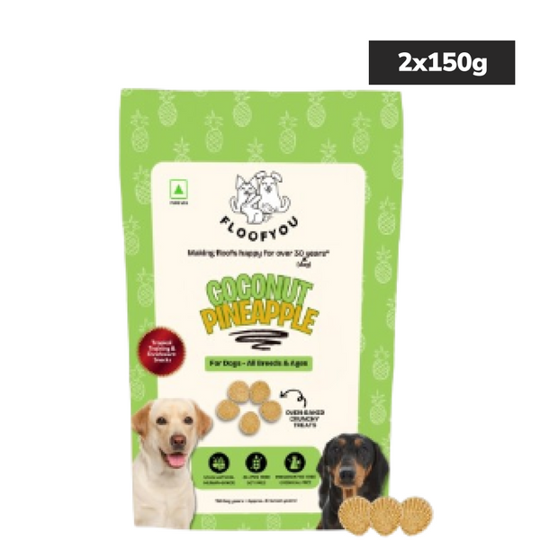 Floofyou Coconut Pineapple Vegan Oven Baked Cookie Dog Treats