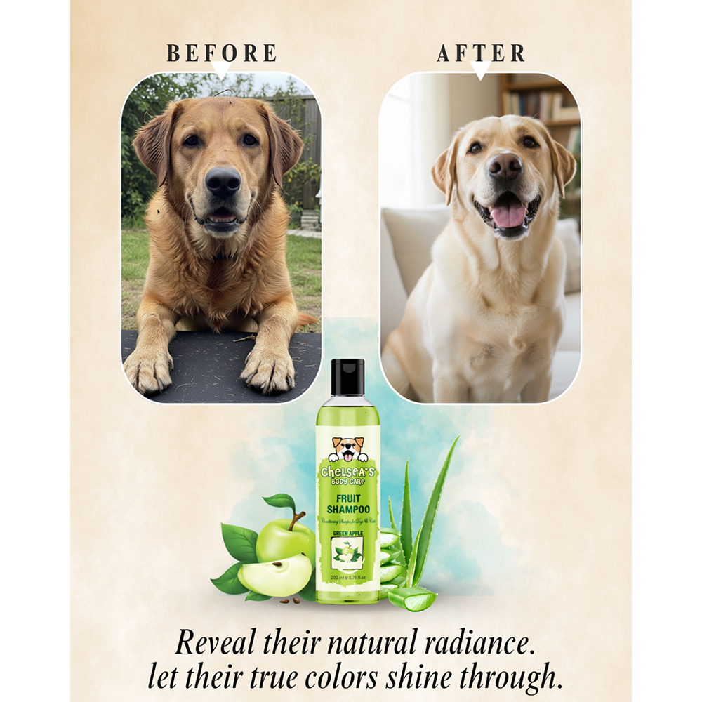 Dr. Chelsea's Green Apple Fruit Conditing Shampoo for Cats & Dogs Both-Grooming Supplies Dr. Chelsea's Dropship