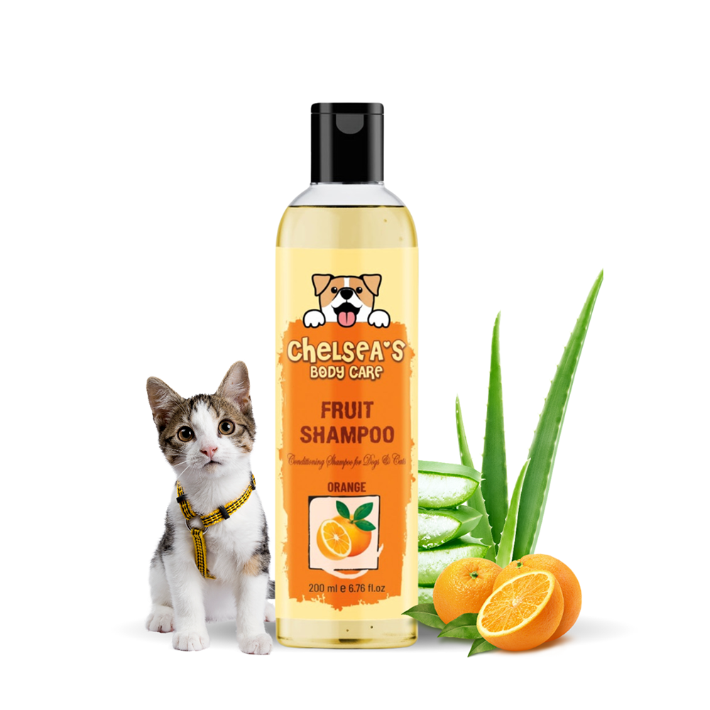 Dr. Chelsea's Orange Fruit Conditing Shampoo for Cats & Dogs Both-Grooming Supplies Dr. Chelsea's Dropship