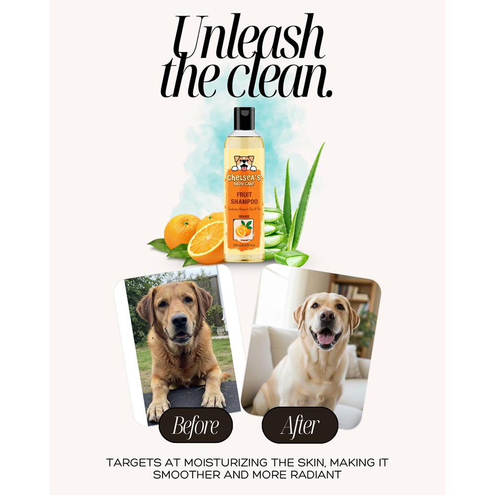 Dr. Chelsea's Orange Fruit Conditing Shampoo for Cats & Dogs Both-Grooming Supplies Dr. Chelsea's Dropship