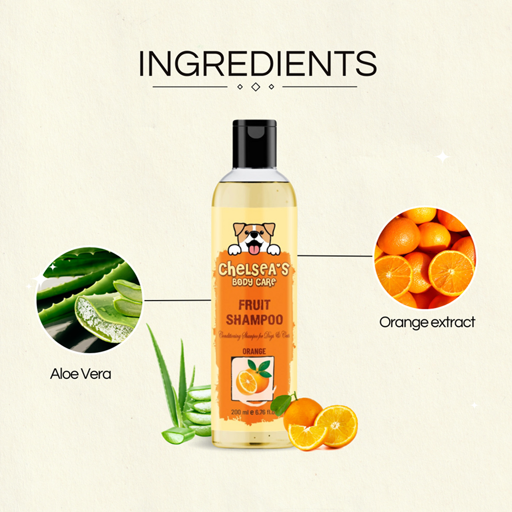 Dr. Chelsea's Orange Fruit Conditing Shampoo for Cats & Dogs Both-Grooming Supplies Dr. Chelsea's Dropship