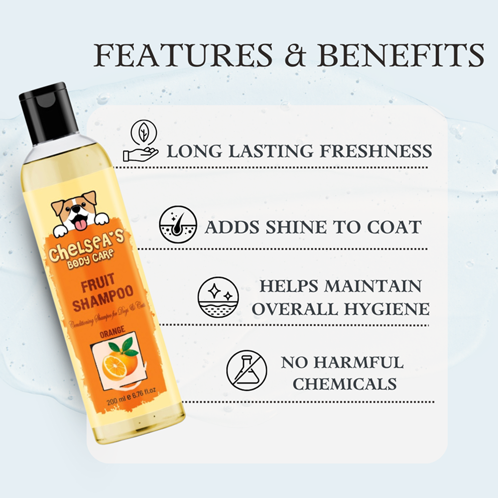 Dr. Chelsea's Orange Fruit Conditing Shampoo for Cats & Dogs Both-Grooming Supplies Dr. Chelsea's Dropship