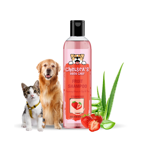 Dr. Chelsea&