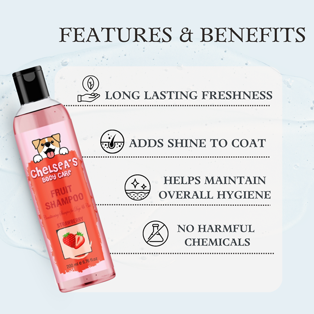 Dr. Chelsea's Strawberry Fruit Conditing Shampoo for Cats & Dogs Both-Grooming Supplies Dr. Chelsea's Dropship
