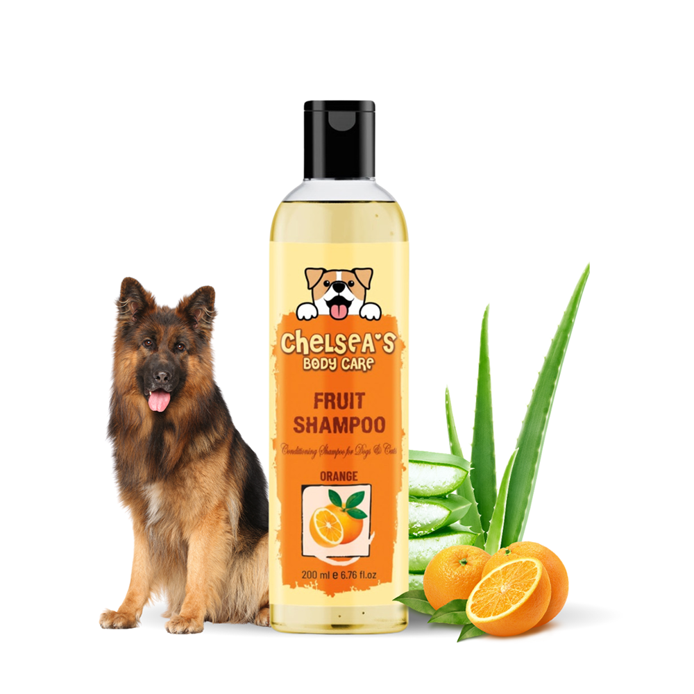 Dr. Chelsea's Orange Fruit Conditing Shampoo for Cats & Dogs Both-Grooming Supplies Dr. Chelsea's Dropship