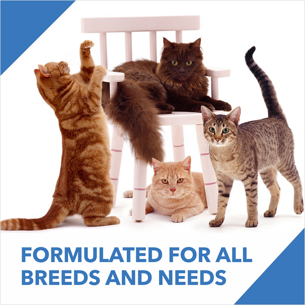Drools Mackerel Adult Cat Dry Food