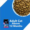 Drools Mackerel Adult Cat Dry Food Cats- Dry food Drools