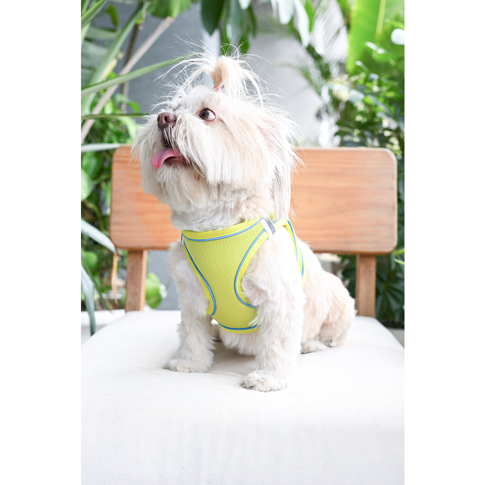 Pets Way Air Mesh Harness for Puppies & Small Dogs (Neon) Dogs-Collar, Leashes, harnesses Pets Way