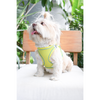 Pets Way Air Mesh Harness for Puppies & Small Dogs (Neon) Dogs-Collar, Leashes, harnesses Pets Way