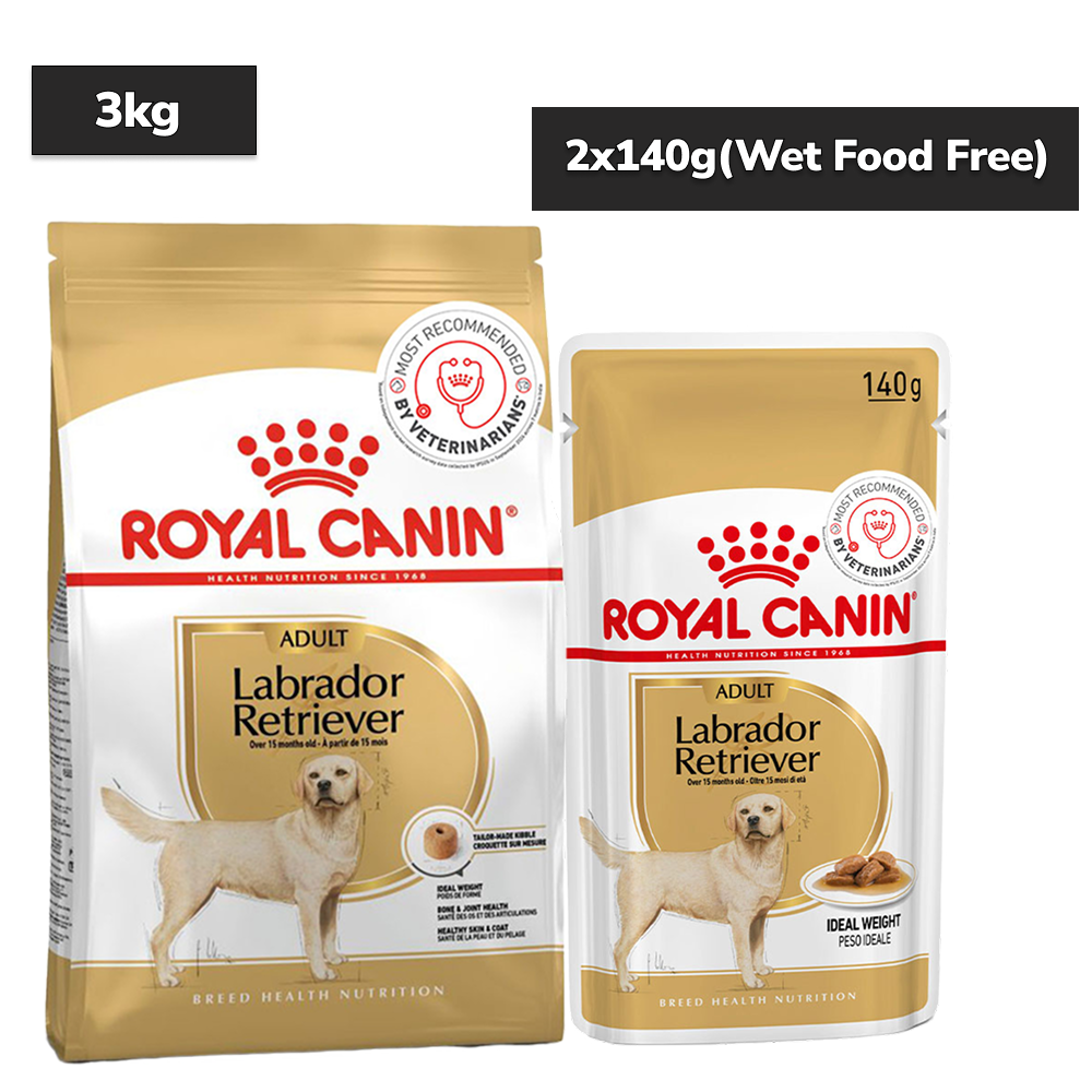 Royal Canin Labrador Retriever Adult Dog Dry Food Dogs- Dry Food Royal Canin 3kg+140g (Wet Food Free)