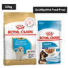 Royal Canin Golden Retriever Puppy Dog Dry Food Dogs- Dry Food Royal Canin 12kg+2x140g (Wet Food Free)