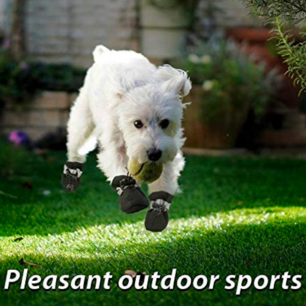KUTKUT Boots for Dogs (Black)
