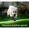 KUTKUT Paw Protector Boots for Small Dogs (Black) Dogs-Clothing & Accessories KUTKUT Dropship