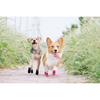 KUTKUT Paw Protector Boots for Small Dogs (Black) Dogs-Clothing & Accessories KUTKUT Dropship