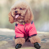 KUTKUT Paw Protector Boots for Small Dogs (Black) Dogs-Clothing & Accessories KUTKUT Dropship