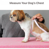 KUTKUT Cute Stripe Pattern Stretchable Shirt for Small Dogs & Cats Both-Clothing & Accessories KUTKUT Dropship